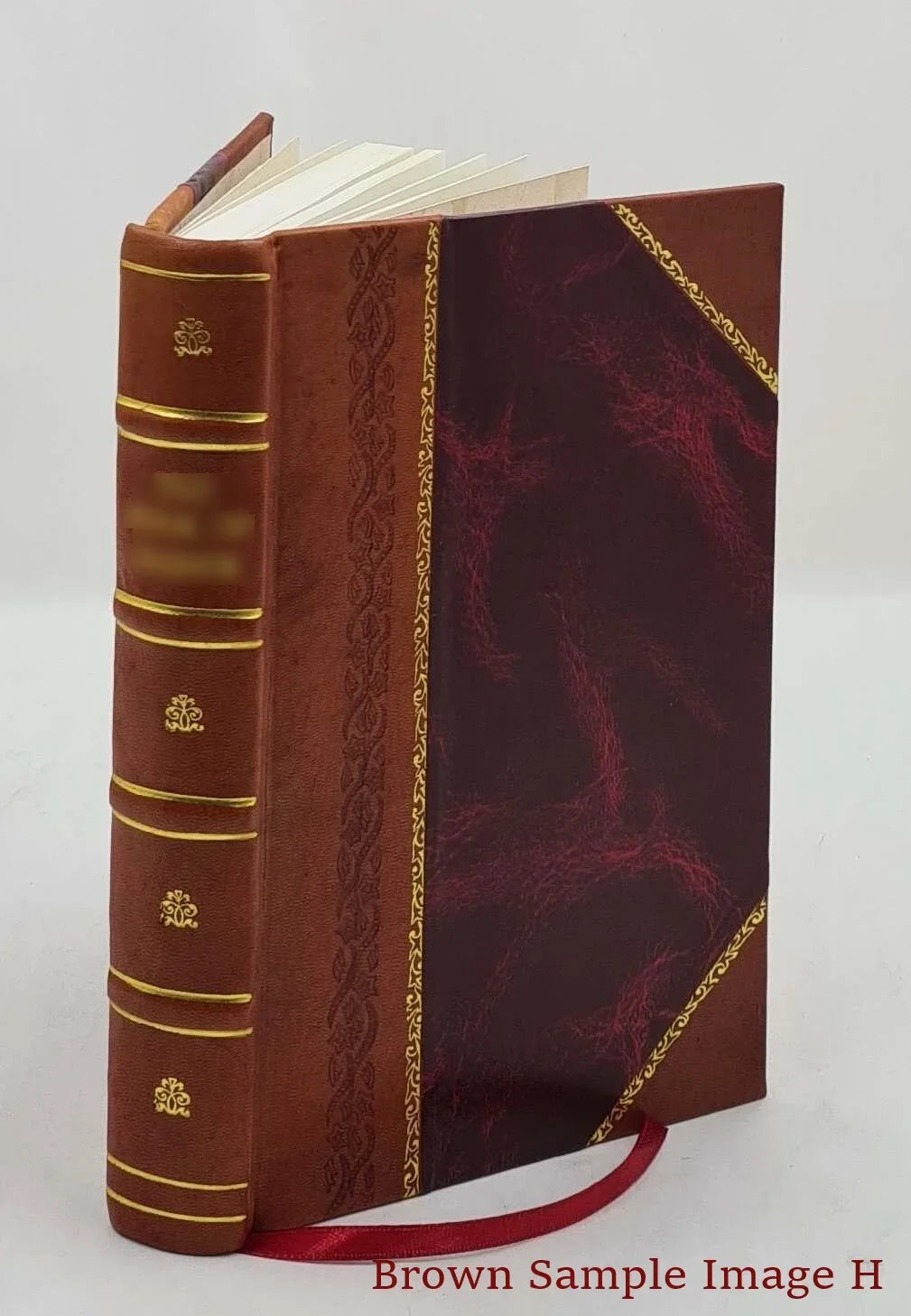 Flagellum Daemonum exorcismos terribiles, potentissimos, et efficaces : Remediaque probatissima, ac doctrinam singularem ad malignos spiritus expellendos, facturasq [Leather Bound]