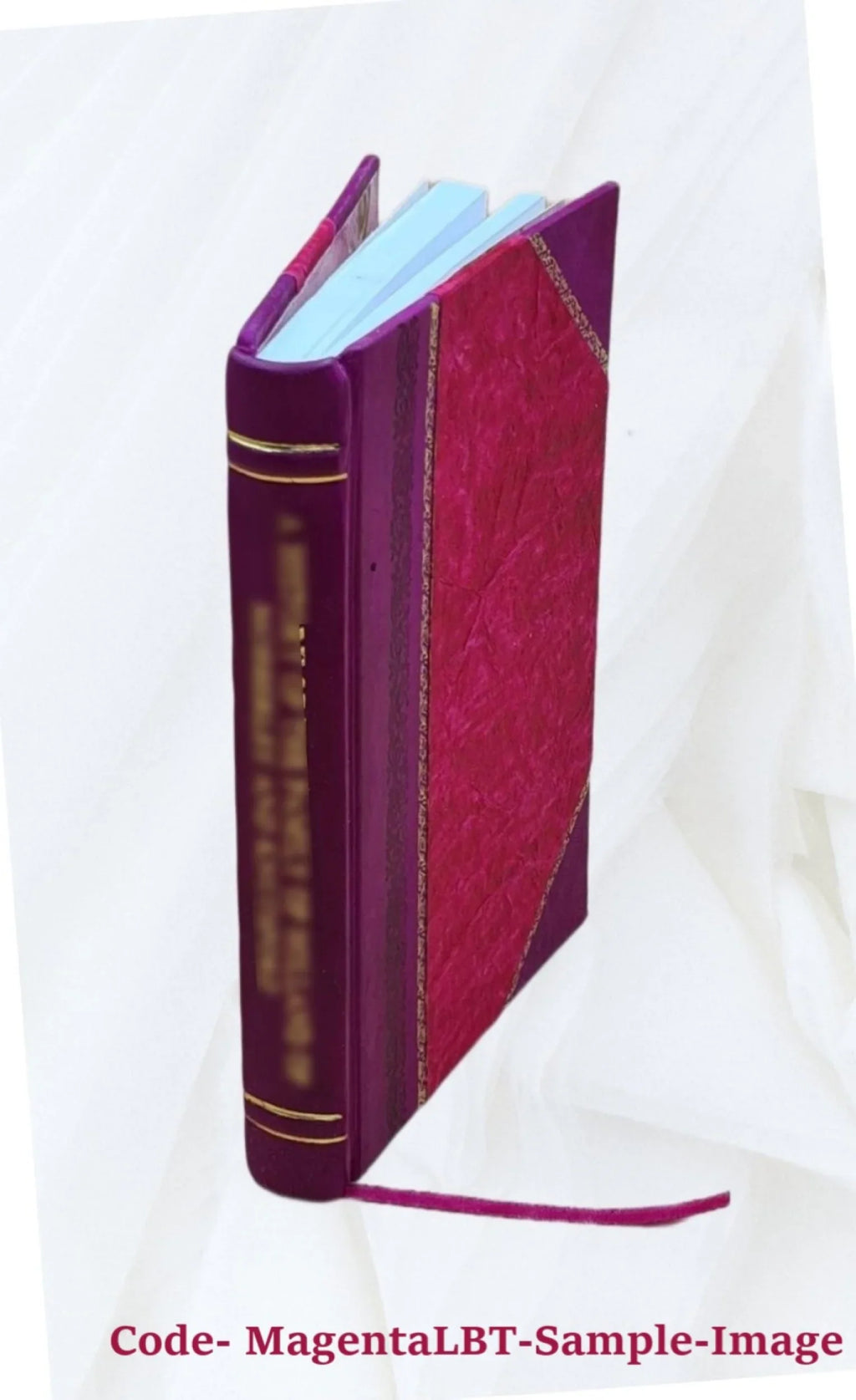 Niederländische bilder des XVII; jahrhunderts in der sammlung Hölscher-Sizetumpf 1908 [Leather Bound]
