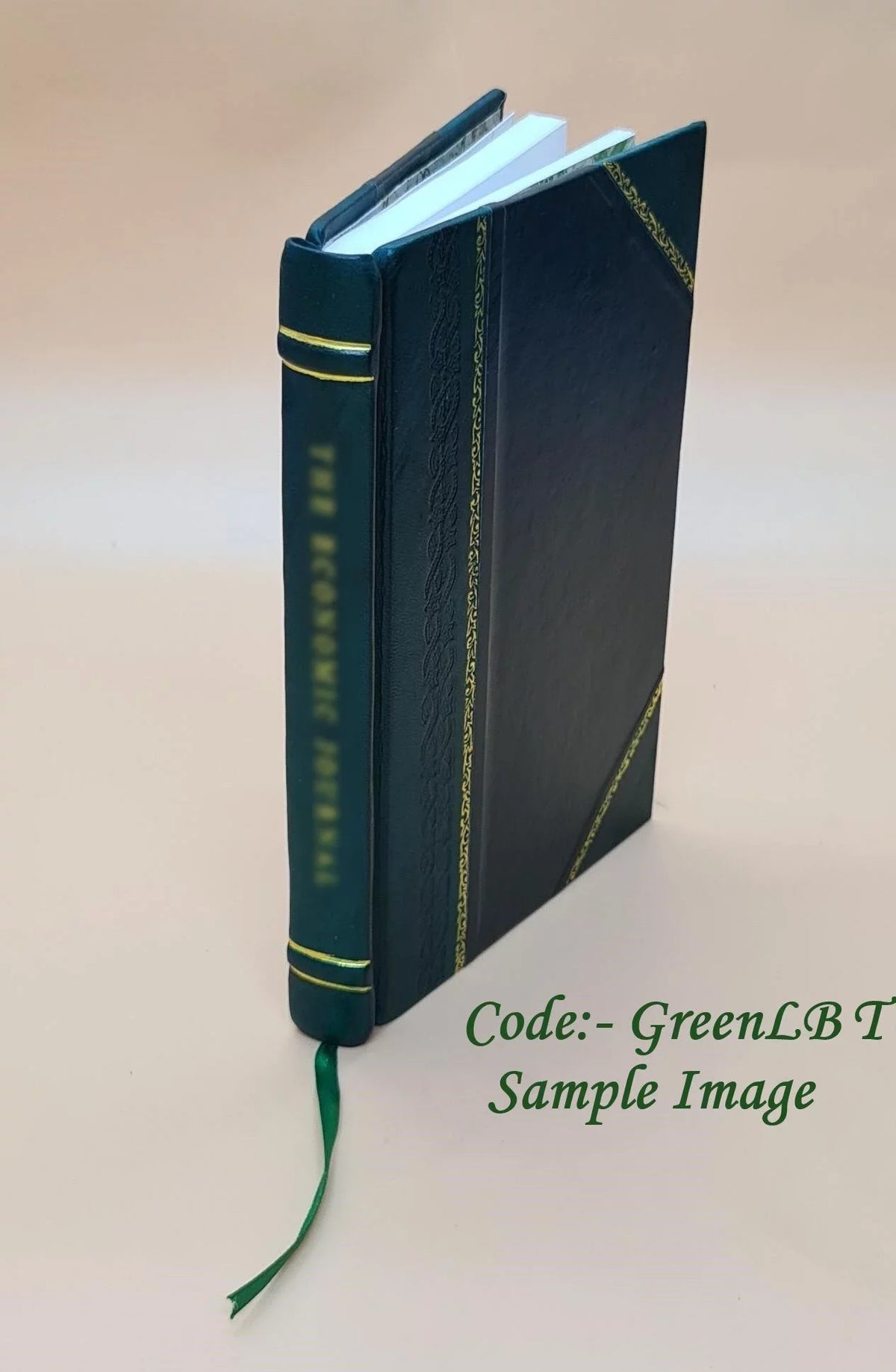Sizet. Joe River Road Forest Route 20 Sizehoshone County : environmental impact statement. Fsup. Volume Fsup 1976 [Leather Bound]