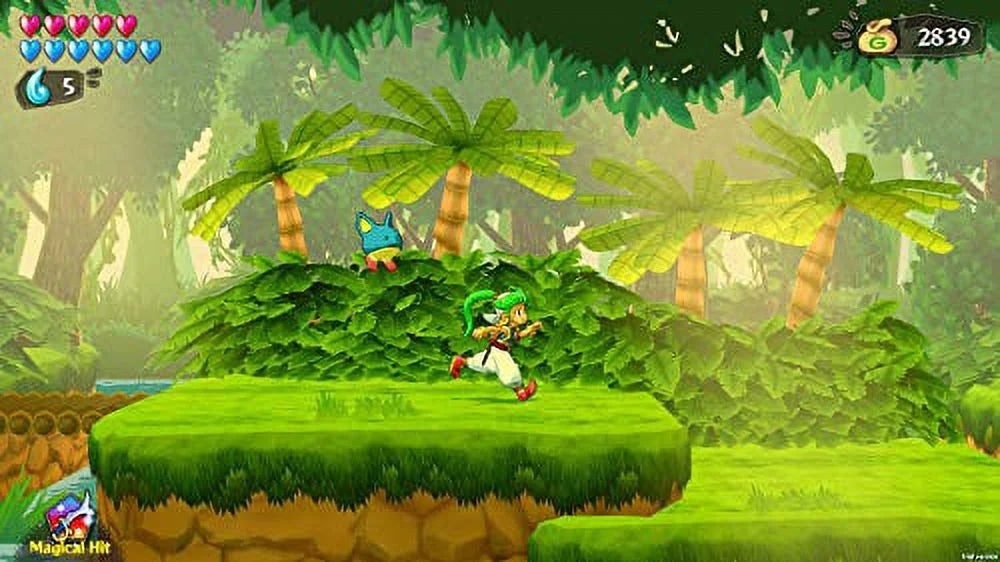 Wonder Boy: Asha In Monster World (Nintendo Sizewitch)