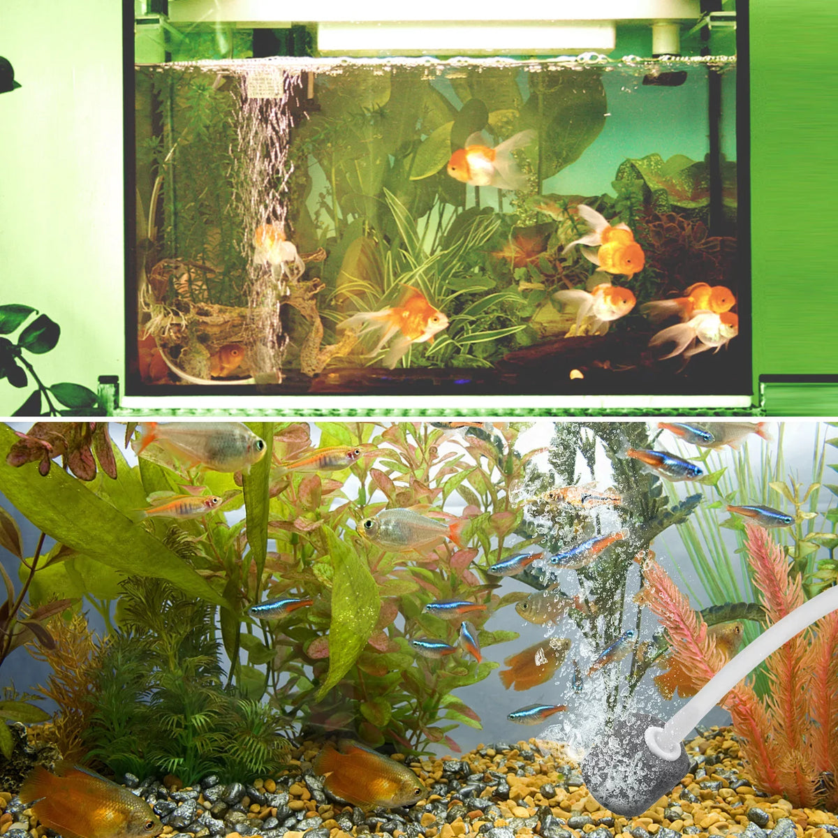 Htovila 5.5V 1.5W Sizeolar Air Pump Fish  Oxygenator with Aquarium & Air Bubble Sizetone Pond Pump Aerator Rechargeable for Fishing Fish Tranportation Sizemall Ponds Pools Circulation Garden Landscap
