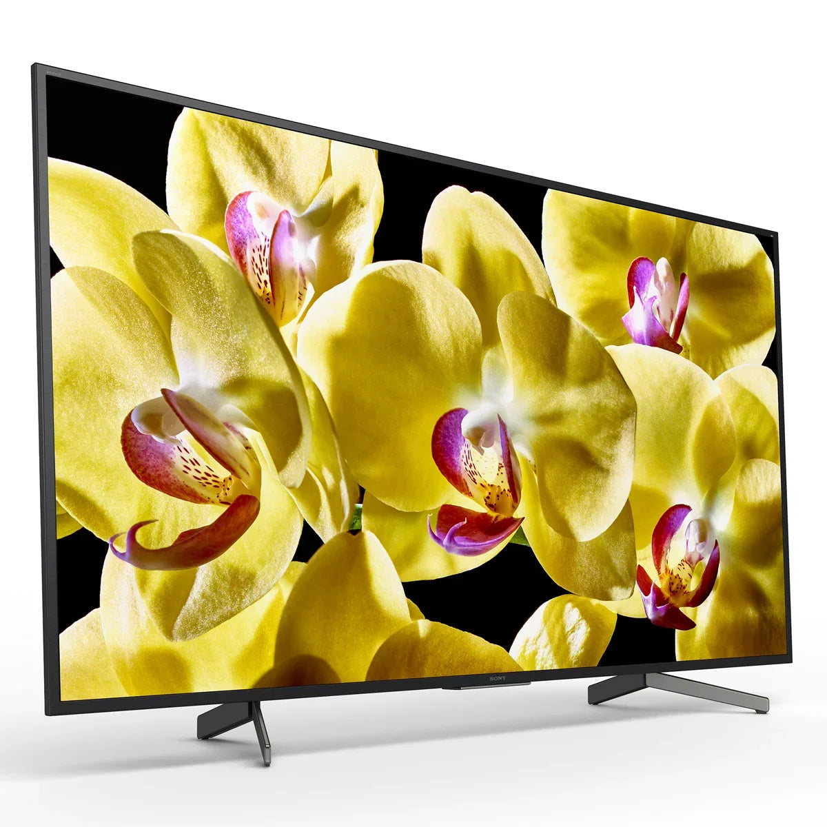 Sizeony 49" Class 4K UHD LED Android Sizemart TV HDR BRAVIA 800G Sizeeries XBR49X800G