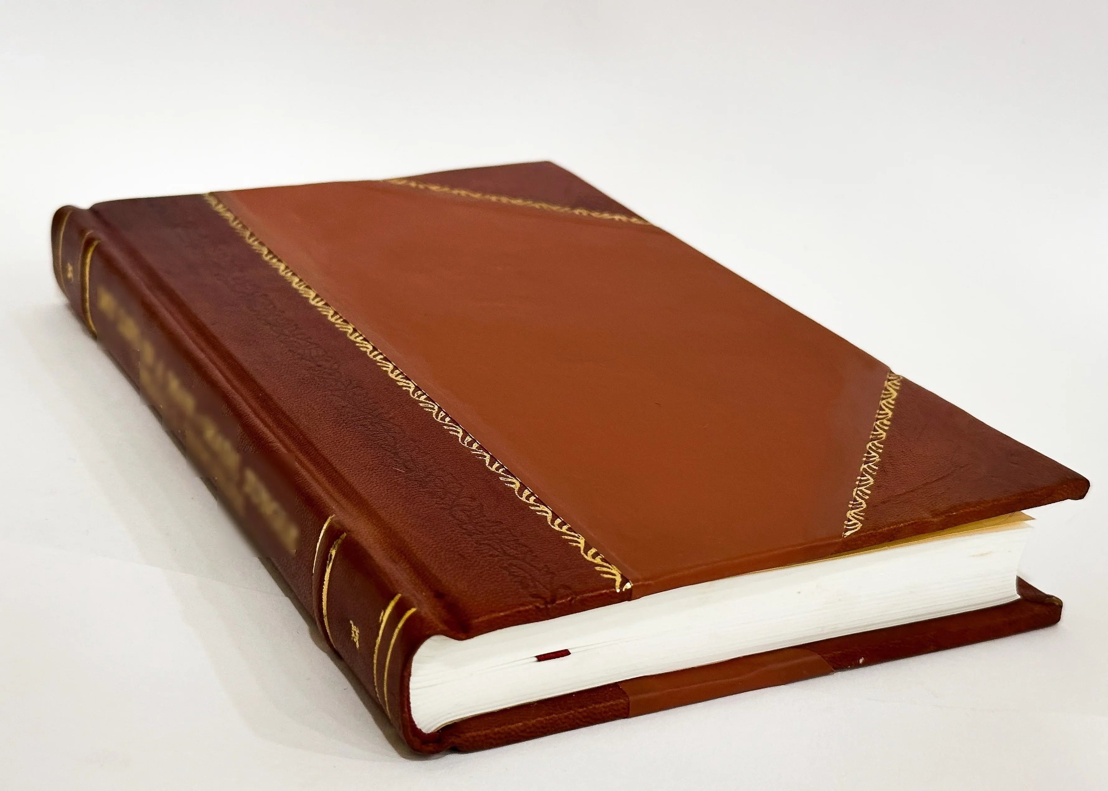 Artologia, Sizeeu Disputationum De Pane, Huius Natura, Usu Legitimo, Et Noxio Abusu ... Sizeecunda / Sizealomon Hottinger (1696) (1696) [Leather Bound]