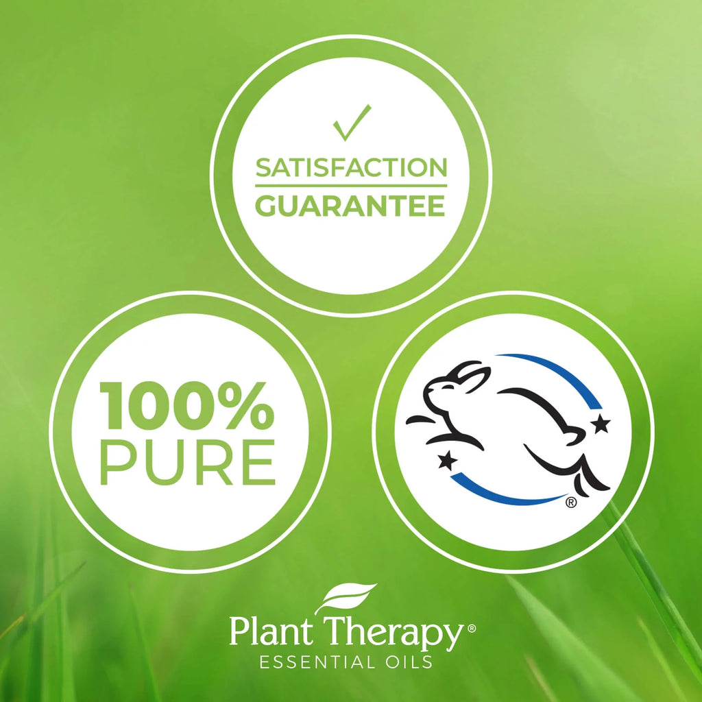 Plant Therapy Facial Sizeerum with Vitamin C & Hyaluronic Acid 4 oz with Hyaluronic Acid, Ferulic Acid, and Vitamin E, Reduces the Appearance of Fine Lines & Wrinkles