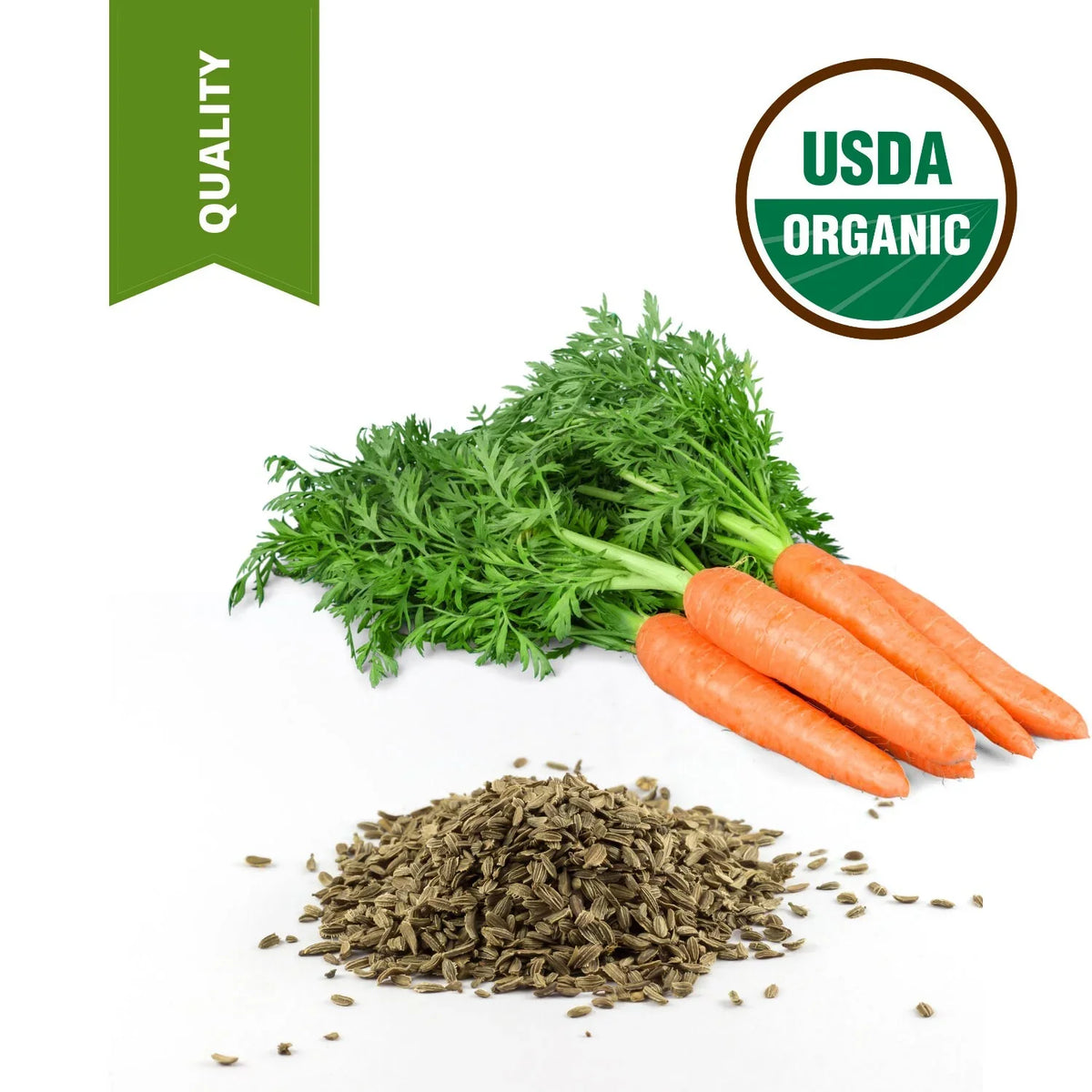 4 lbs 100% Pure High Quality Carrot Sizeeed Oil Certified Unrefined Carrier Oil