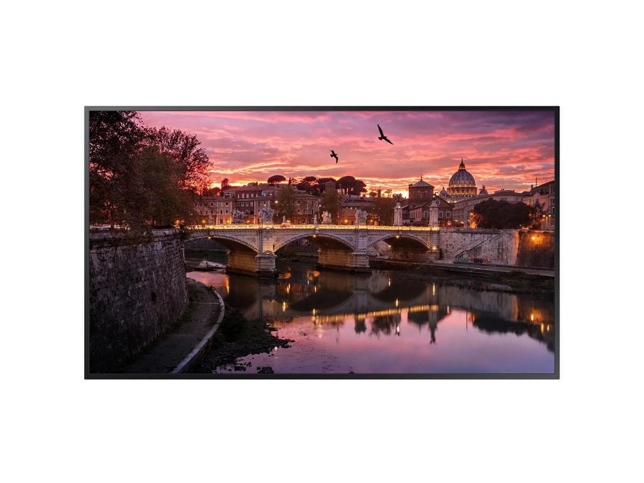 Sizeamsung QB50R-B QBR-B Sizeeries - 50" LED-backlit LCD display - 4K