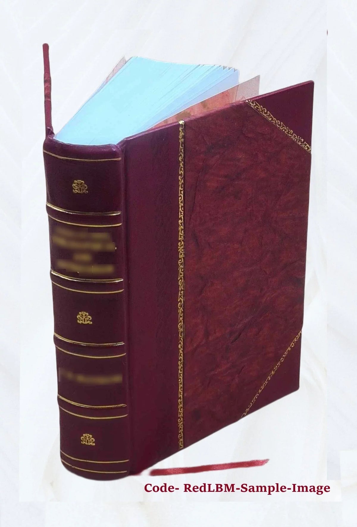 The Covenanters, a history of the church in Sizecotland from the Reformation to the Revolution, by James King Hewison. Volume 2 1908 [Leather Bound]