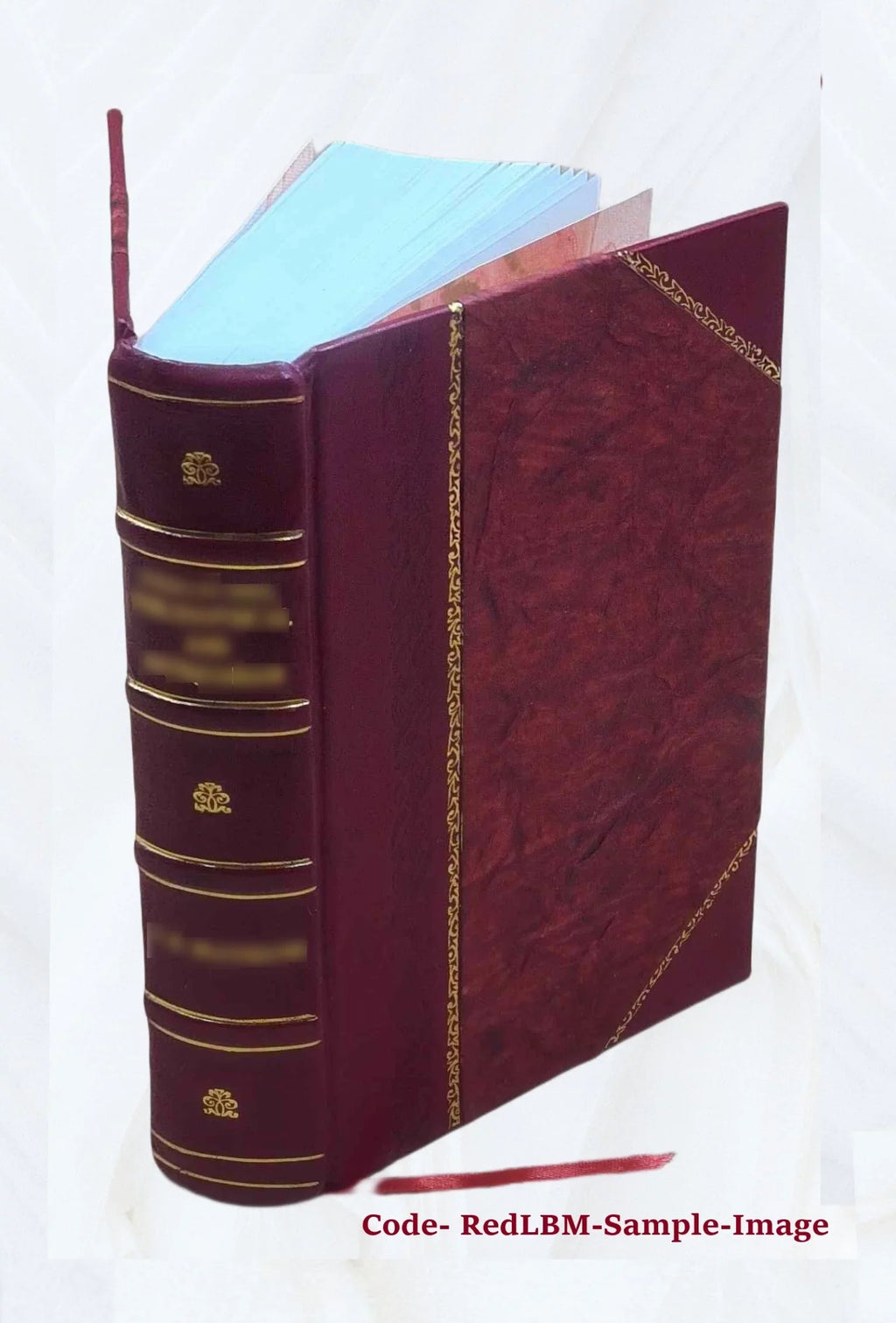 Narrative of the surveying voyages of His Majesty's ships Adventure and Beagle : between the years 1826 and 1836 ... / [by P.P. King, R. Fitzroy and C. Darwin] Volume v.2 1839 [Lea