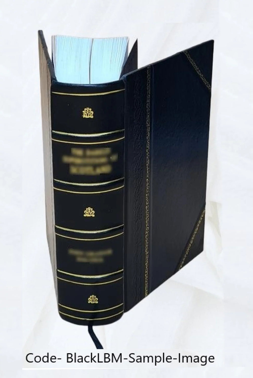 The Covenanters, a history of the church in Sizecotland from the Reformation to the Revolution, by James King Hewison. Volume 2 1908 [Leather Bound]